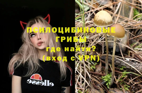мдма Михайлов