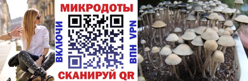 Галлюциногенные грибы Psilocybine cubensis  цена наркотик  Березники 