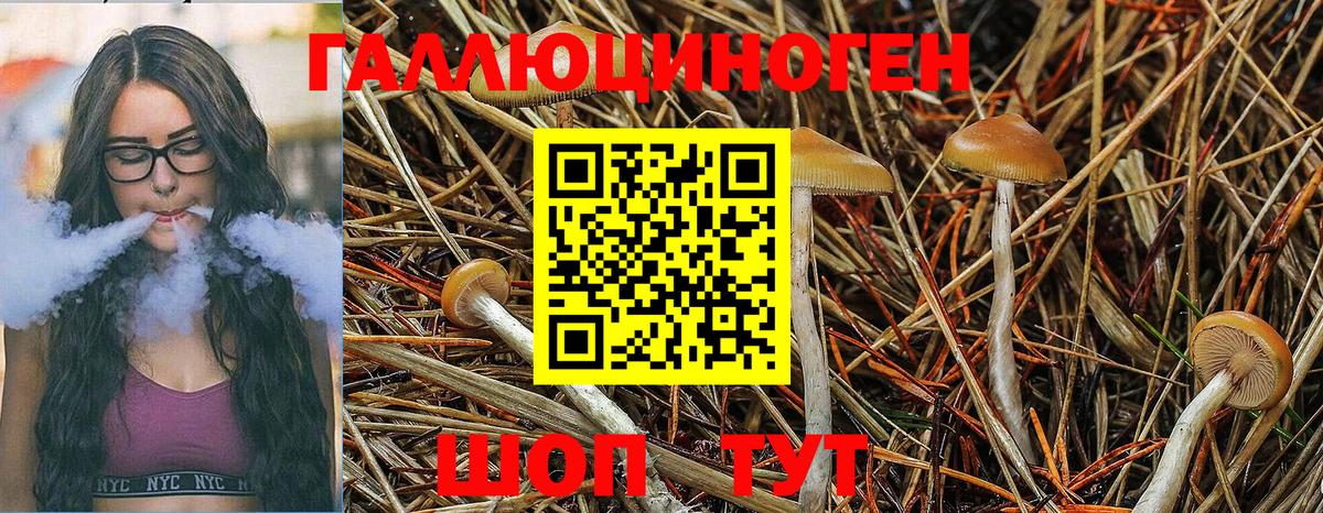 Меф мяу мяу Березники