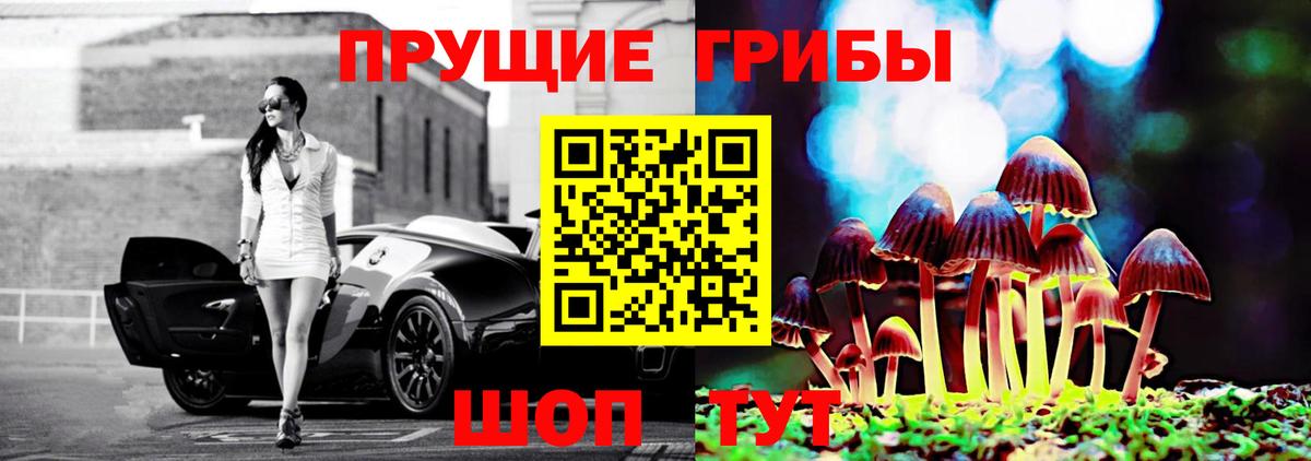 Галлюциногенные грибы Psilocybine cubensis Березники
