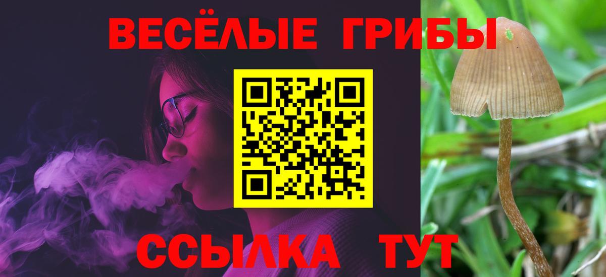 Галлюциногенные грибы Magic Shrooms  Вход с VPN  Березники 