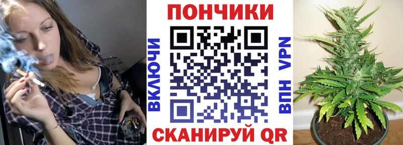 Бошки Шишки сатива  где найти наркотики  Березники 
